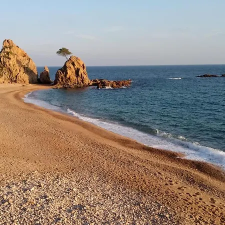 Mar Menuda A Pocos Metros De La Playa Тосса-де-Мар